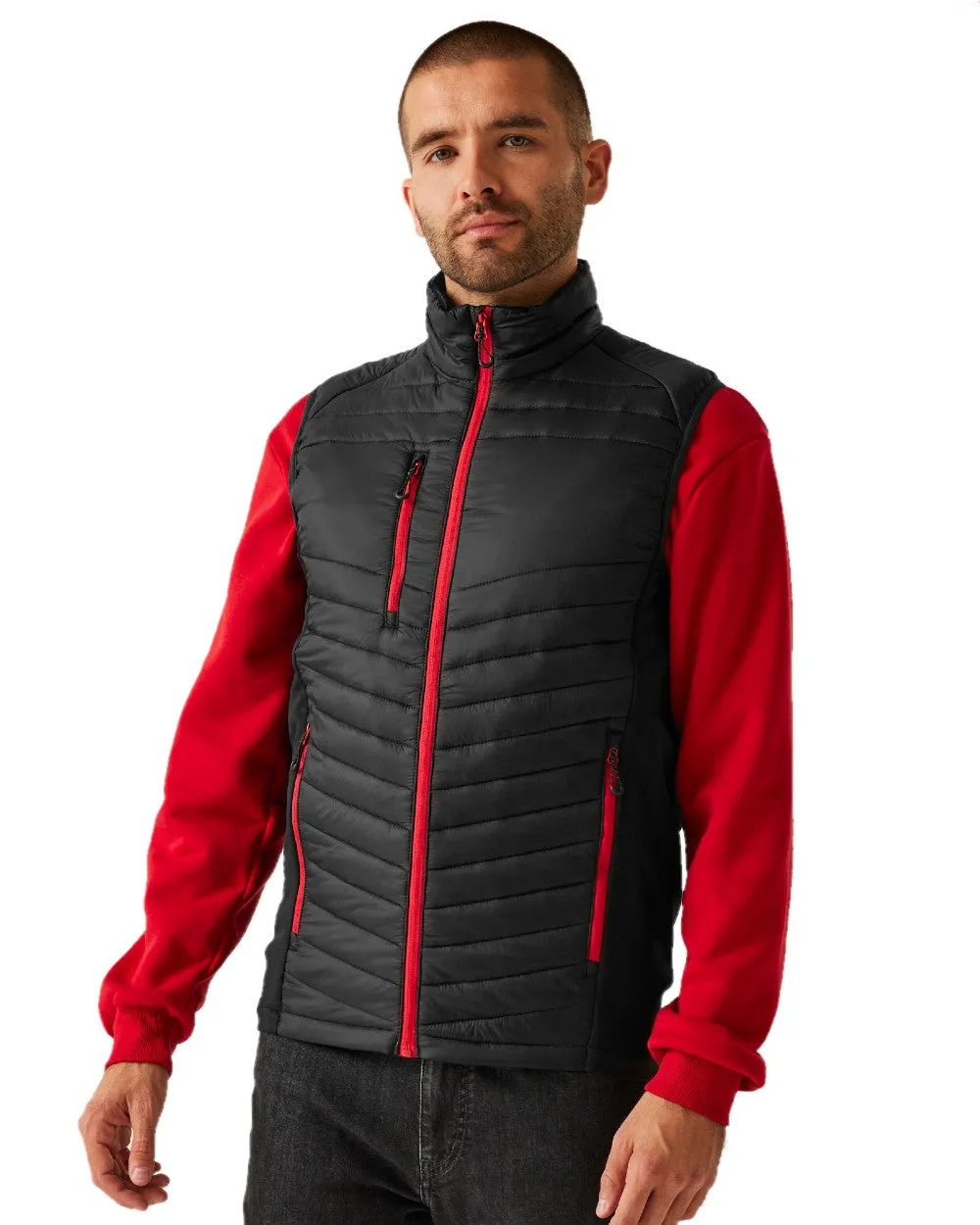 Regatta Mens Navigate Hybrid Bodywarmer